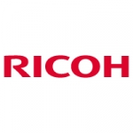 Server acc. - Ricoh Paper Feed Unit Type PB 3030 2 x 500 Sheets - 413673