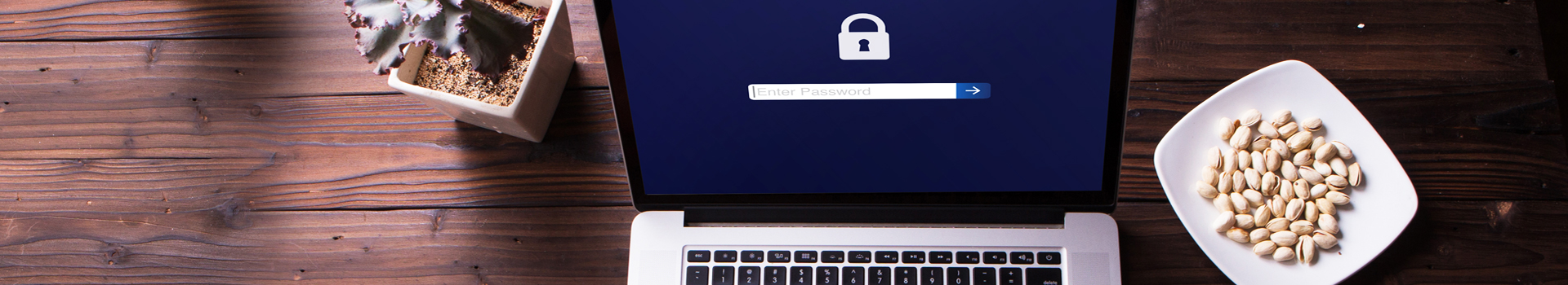 Dag van de privacy